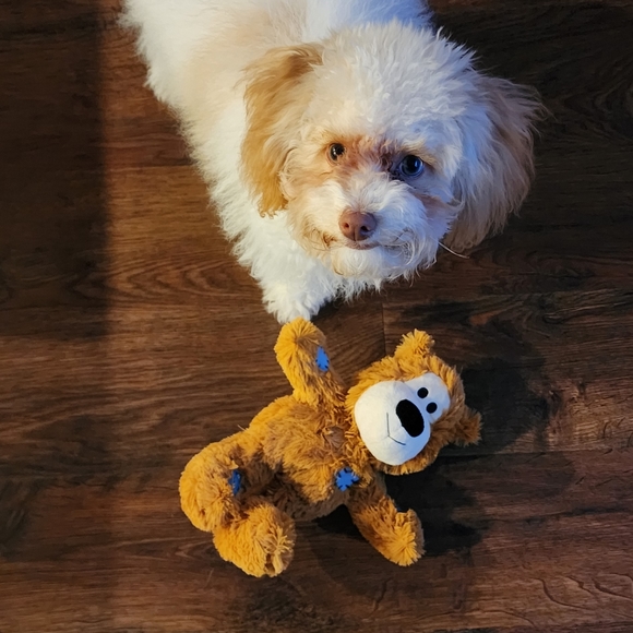 Meet your Posher, Tamara - Picture 2 of 2